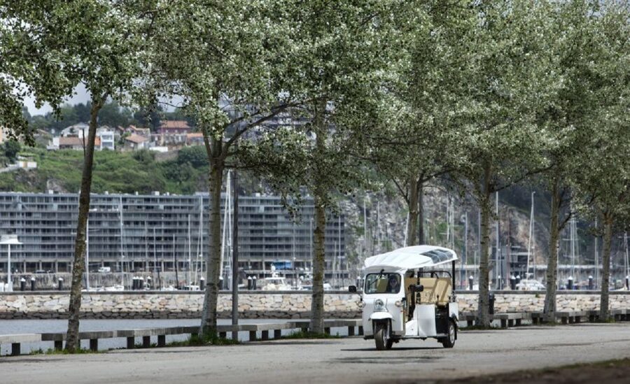 Porto: Private Sightseeing Tour by Electric Tuk Tuk - Avenida dos Aliados, Porto’s formal center