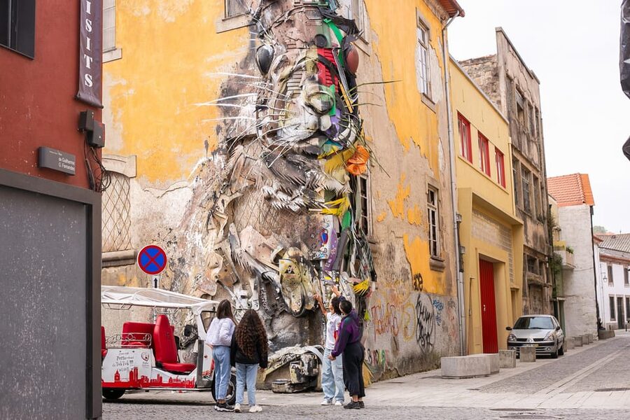 Porto Tour: One tour, a thousand stories by tuk tuk - 3 hours - Views over Porto and the Douro River