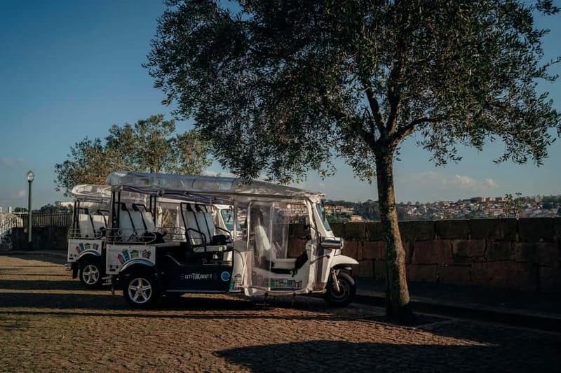 Porto Tuk Tuk Tour: Clérigos, Scenic & Viewpoints - 1H to 4H - The guides and the private format