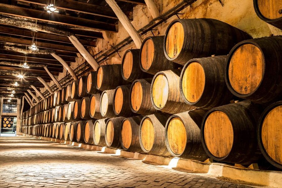 Porto: Tuk-Tuk Tour, Douro River Cruise, and Wine Tasting - Who should book this Porto combination?