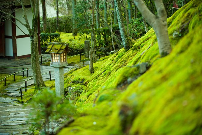 Private 3-hour Kyoto Arashiyama Rickshaw Tour - Starting near central Arashiyama