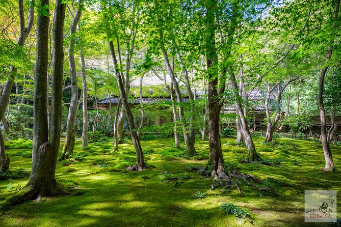 Private 3-hour Kyoto Arashiyama Rickshaw Tour - The unique route: stone figures and Buddhist stories
