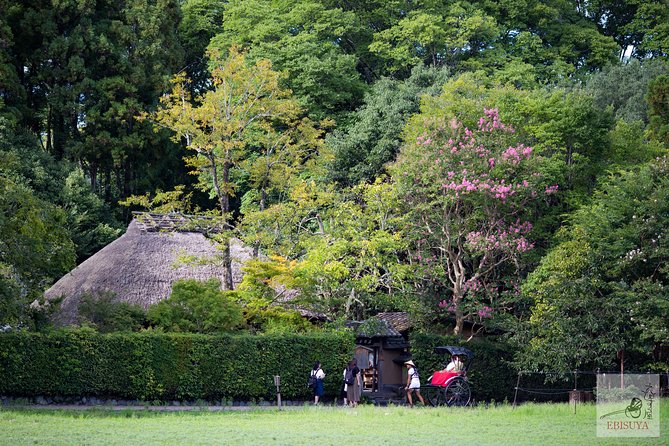 Private 3-hour Kyoto Arashiyama Rickshaw Tour - What $236.44 per person buys you