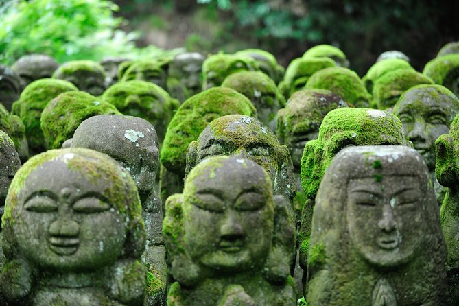 Private 3-hour Kyoto Arashiyama Rickshaw Tour - Families, seating, and pregnancy rules