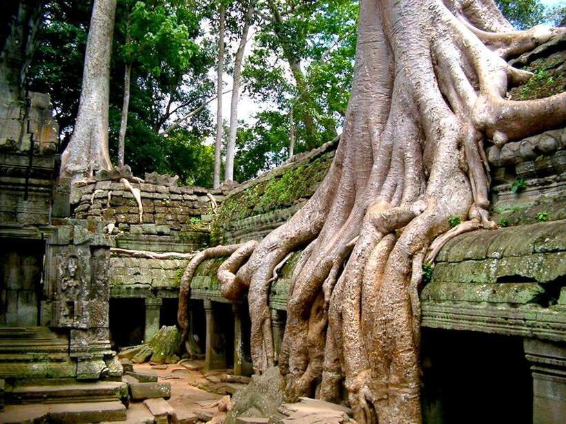 Private Angkor Sunrise, Guide Breakfast and Tuktuk included - Angkor Thom’s south gate at 12:30 PM
