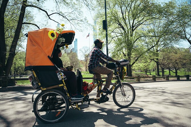 Private Central Park Guided Pedicab Tour - Why a pedicab works well in Central Park