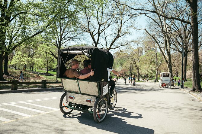 Private Central Park Guided Pedicab Tour - Bow Bridge and Cherry Hill Plaza bring classic park scenery