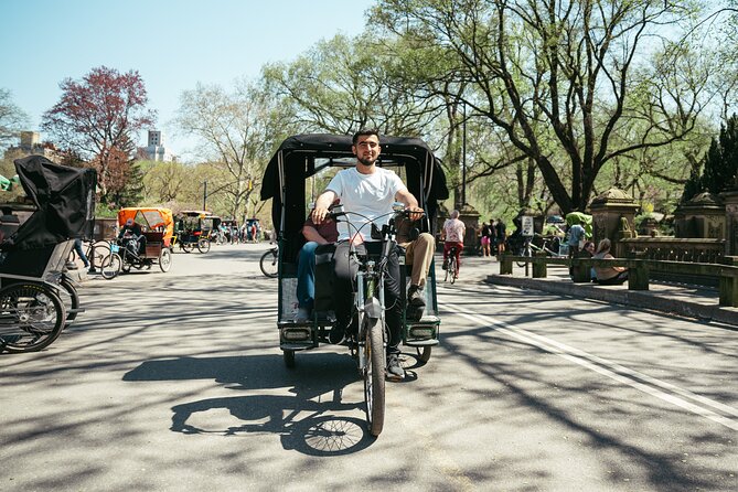 Private Central Park Guided Pedicab Tour - Belvedere Castle supplies the best high viewpoint