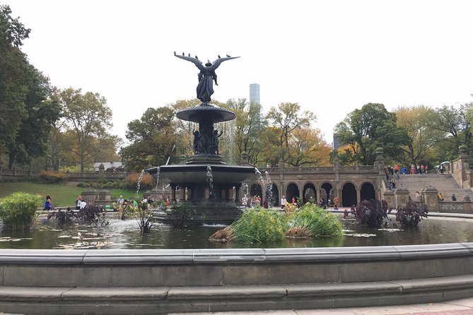 Private Central Park Guided Tour by Pedicab - Comfort, weather, and accessibility