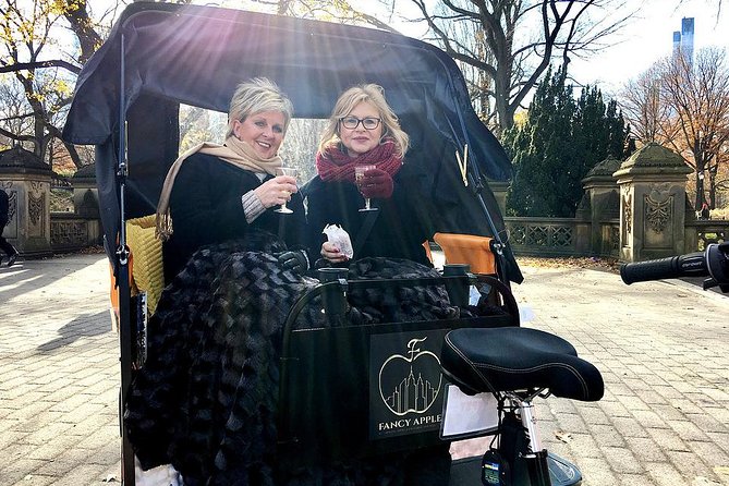 Private Central Park Guided Tour by Pedicab - How it compares with walking and carriage rides