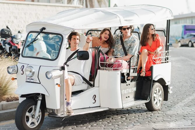 Private E-Tuk Tuk Adventure through Brisbane - Passing beneath the 1940 Story Bridge