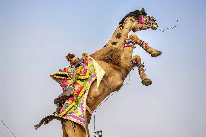 Private Full Day Jaipur Sightseeing Tour By Tuk-Tuk (Rickshaw) - Why a tuk-tuk works well in Jaipur