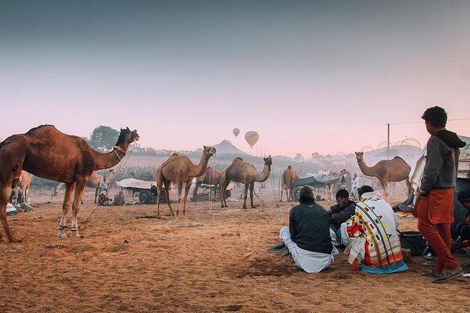 Private Full Day Jaipur Sightseeing Tour By Tuk-Tuk (Rickshaw) - Hawa Mahal and the value of a flexible stop