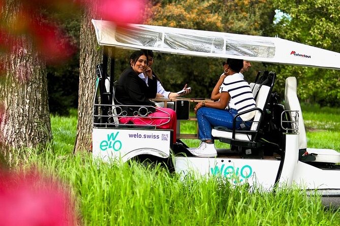 Private Guided Geneva 1 Hour TukTuk City Tour - Lake Geneva and the first look at the city