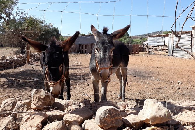 Private-Guided Tuk Tuk Country Side Tour - Fonte Grande, water between the hills