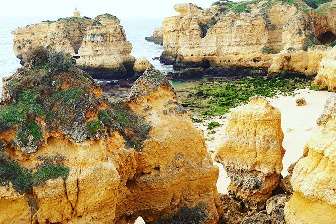 Private Guided Tuk-Tuk Tour with Pick-Up and Drop-Off of Albufeira - Private pricing and what you receive