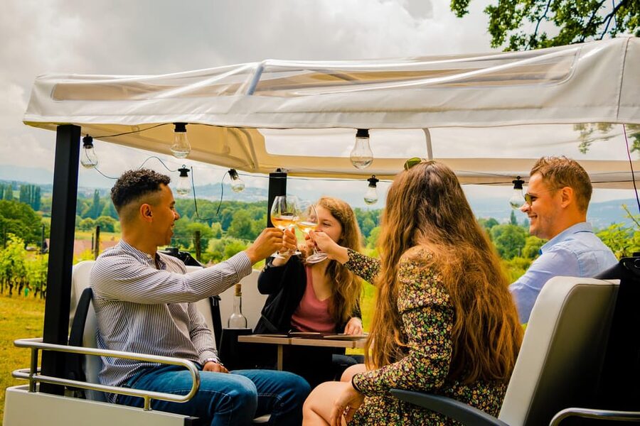 Private Highlights Top Places Tour Electric TukTuk 1h15 - Lake Geneva and the Jet d’Eau