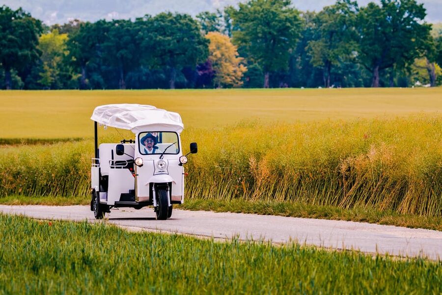 Private Highlights Top Places Tour Electric TukTuk 1h15 - What the $101 price is worth