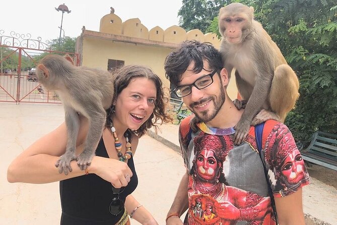 Private Jaipur Tuk-Tuk Tour with Monkey Temple - City Palace and Albert Hall Museum