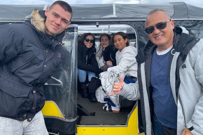Private Reykjavík Tuk Tuk – City Highlights Tour - What the guide adds to the ride