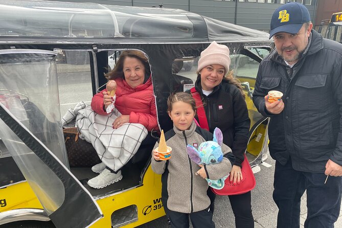 Private Reykjavík Tuk Tuk – City Highlights Tour - What the electric tuk-tuk adds