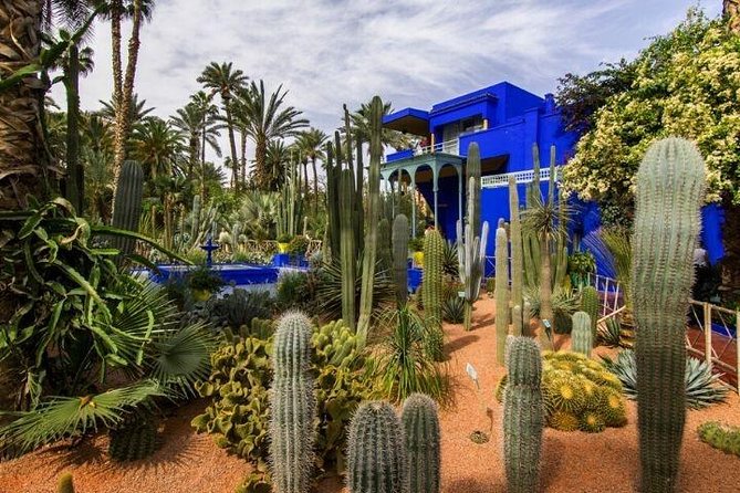 Private Tour in Marrakech By Tuk Tuk - What $30 per person really buys you