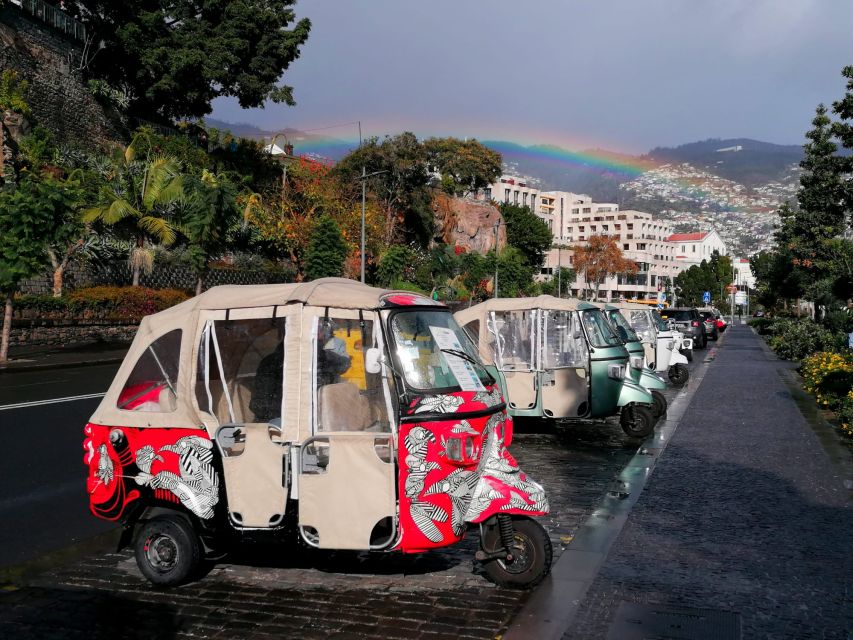 Private tour:Tuk Tuk Ride to Monte Funchal Toboggans - Key points at a glance