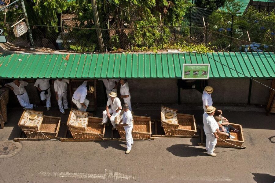 Private tour:Tuk Tuk Ride to Monte Funchal Toboggans - Should you book the Monte tuk tuk and toboggan ride?