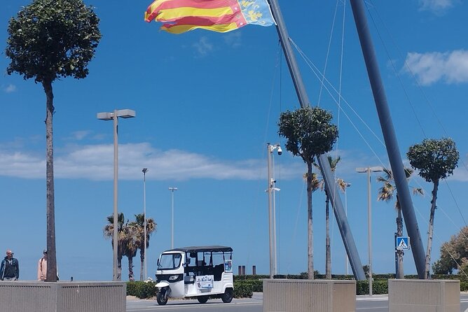 Private Tour with Tuktuk in Valencia - Key points to know before booking