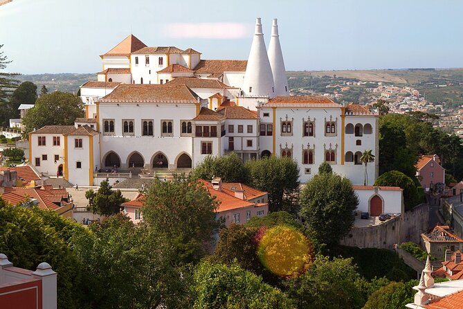 Private Tuk Tuk Half Day Tour in Sintra - The guides and the ride itself