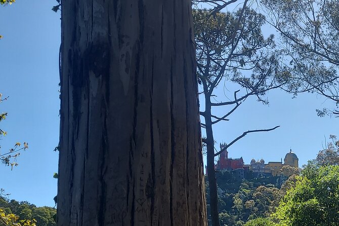 Private Tuk Tuk Tour around Magical Sintra and Coastline - Pena Palace from the mountain viewpoint