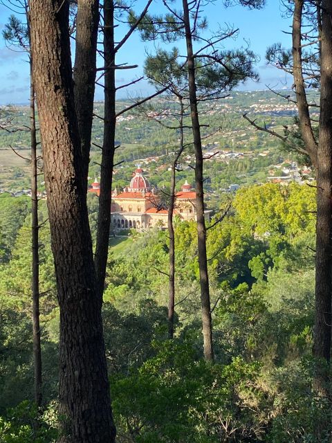 Private Tuk Tuk Tour around Sintra - Who should choose this Sintra tour?