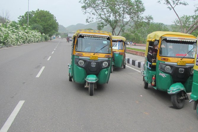 Private Tuk-Tuk Tour of Jaipur with Guide - What the guide and driver add