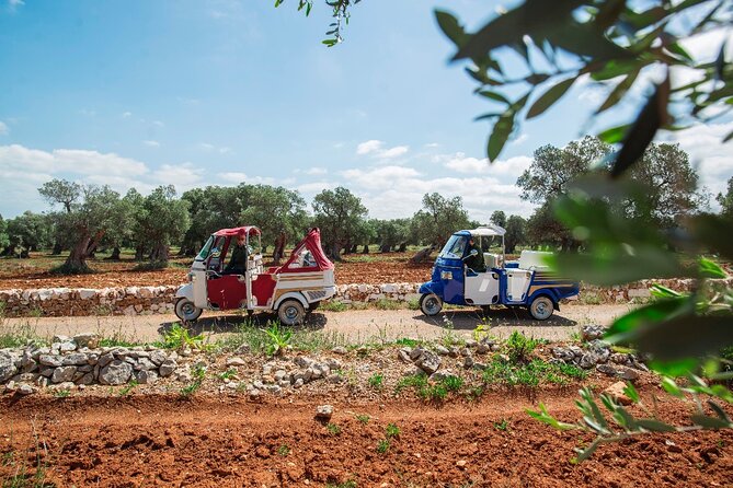 Private Tuk Tuk Tour of the Millenary Olive Groves in Ostuni - From Ostuni’s white-stone center to ancient trees