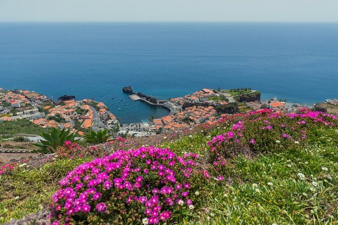 Private Tuk Tuk Tour on Câmara de Lobos, Fishing Village - Key points to know before booking