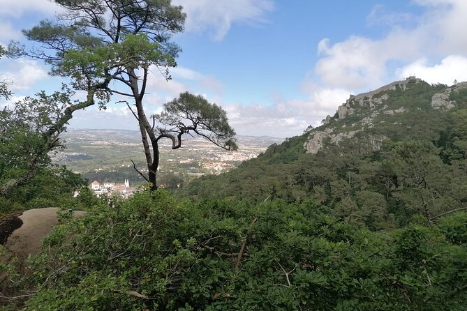 Private Tuk Tuk Tour through Serra de Sintra - Vale dos Lagos and the wooded side of Pena