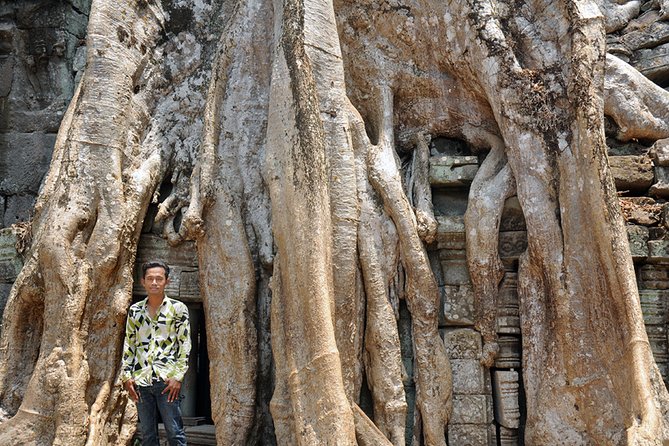Private Tuk Tuk Tour to Angkor Wat and Small Circle with Two Extras - Ta Prohm delivers the famous jungle setting