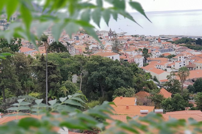 Private Tuk Tuk Tour to Old Town + Monte in Funchal - The climb from Funchal to Monte