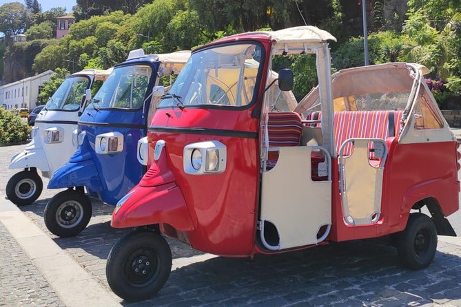 Private Tuk Tuk Tour to Old Town + Monte in Funchal - What $47.77 buys you