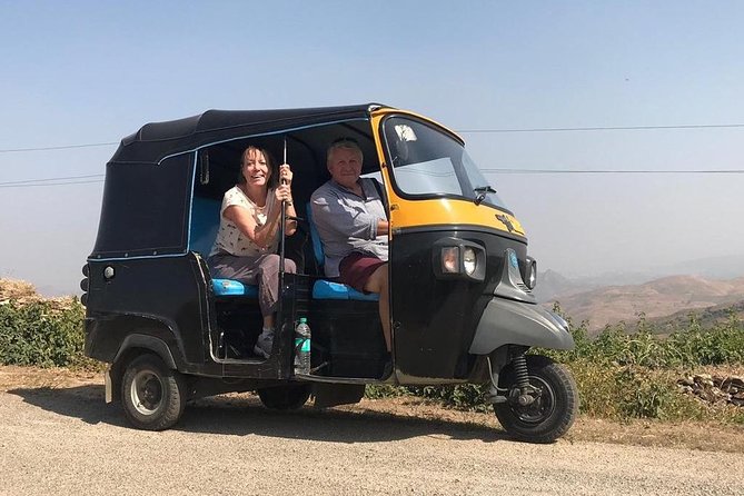 Private Udaipur Sightseeing Tour by Tuk-Tuk or Car with Driver - Folk performance and royal cars
