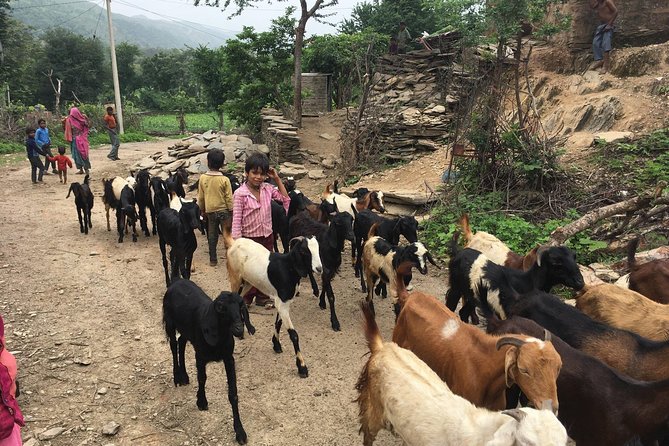 Private Udaipur Village Tour by Tuk-Tuk or by Car - Lake Badi and its famine-era purpose