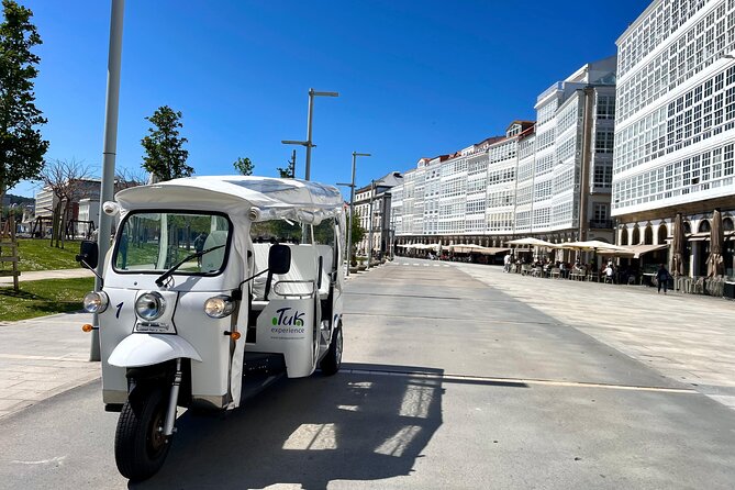 Private VIP Tour in Tuk Tuk Cadiz - Towers, cathedral, and Roman Cádiz
