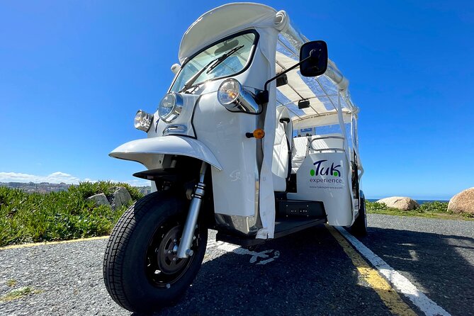 Private VIP Tour in Tuk Tuk Cadiz - Beaches, the Constitution Bridge, and the shipyards