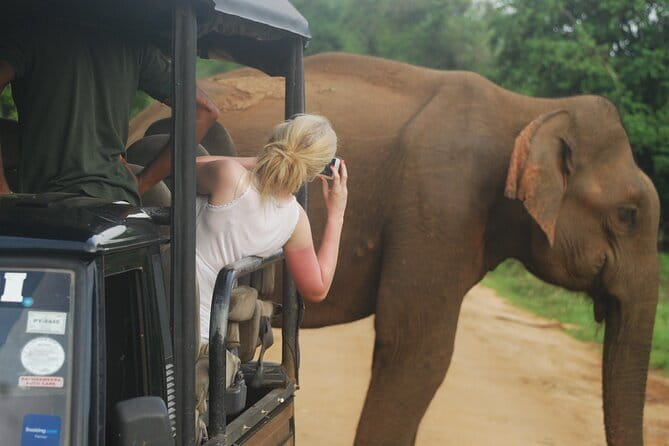 Rent a Tuk Tuk & Explore - Who will enjoy this most