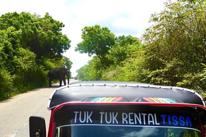 Rent a Tuk Tuk & Explore - Your driving lesson and the Colombo license