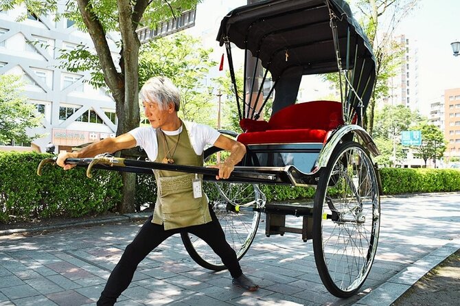 Rickshaw Tour of Kagoshima's Historical and Cultural Sites - A quick ride through Kagoshima’s historic center