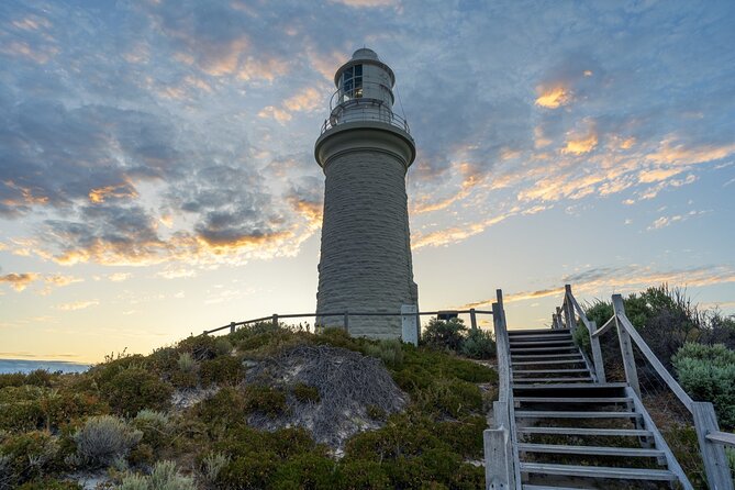 Rottnest Island 90-minute E-Rickshaw Adventure with Tour Guide - Henrietta Rocks and the wreck of the Shark