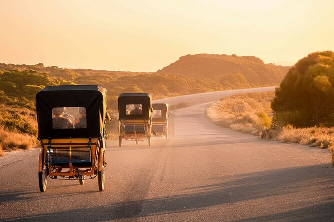 Rottnest Island 90-minute E-Rickshaw Adventure with Tour Guide - The salt lakes bring an inland change