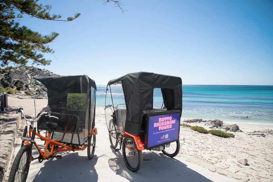 Rottnest Island - E-Rickshaw Tour with private guide - Seabirds, quokkas, and realistic wildlife expectations
