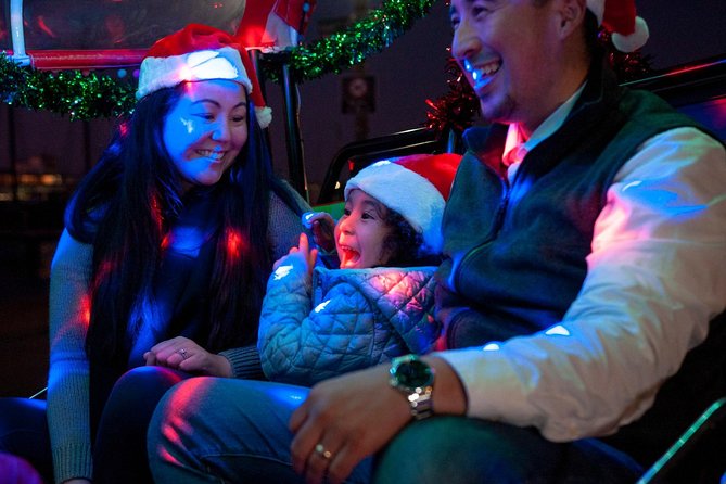 San Francisco Holiday Season Private Tour - Lucky Tuk Tuk - Who will enjoy this most